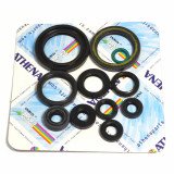 Engine Oil Seals Kit