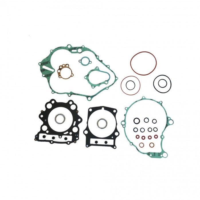 Complete Gasket Kit (oil seals not included)