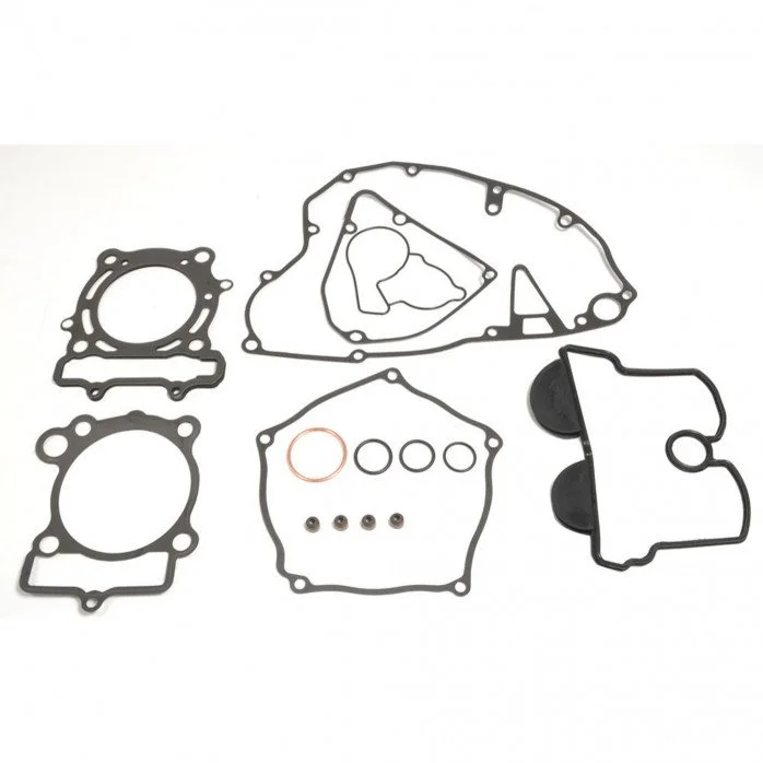 Complete Gasket Kit (oil seals not included)