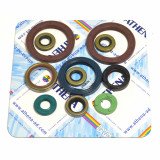 Engine Oil Seals Kit