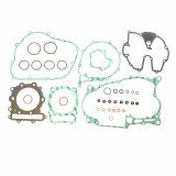 Complete Gasket Kit (oil seals not included)