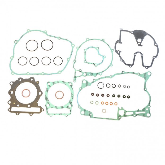 Complete Gasket Kit (oil seals not included)