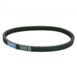 Transmisinis diržas 1008x14,5mm PIAGGIO 827826