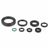 Engine Oil Seals Kit