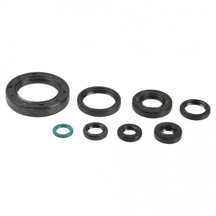 Engine Oil Seals Kit