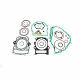 Complete Gasket Kit (oil seals not included)