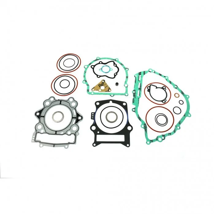 Complete Gasket Kit (oil seals not included)