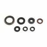 Engine Oil Seals Kit