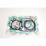 Complete Gasket Kit (oil seals not included)