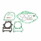 Complete Gasket Kit (oil seals not included)