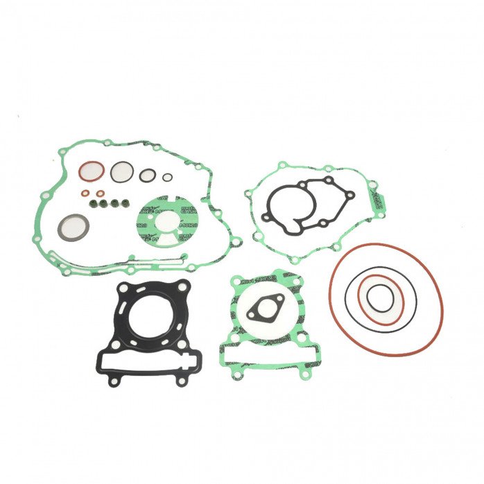 Complete Gasket Kit (oil seals not included)