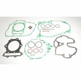 Complete Gasket Kit (oil seals not included)