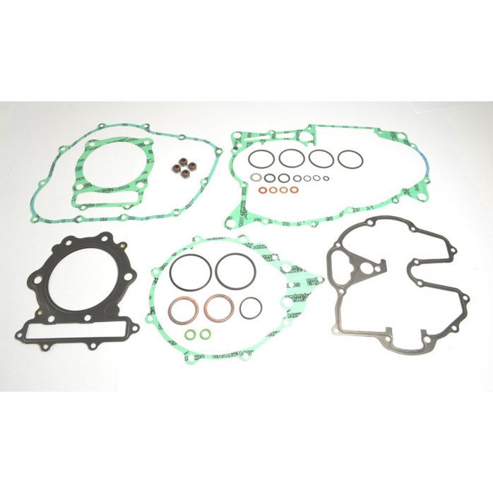 Complete Gasket Kit (oil seals not included)