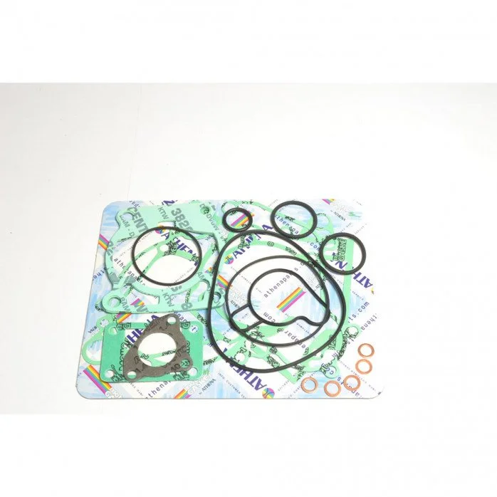 Complete Gasket Kit (oil seals not included)