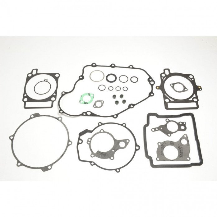 Complete Gasket Kit (oil seals not included)