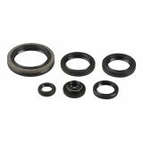 Engine Oil Seals Kit