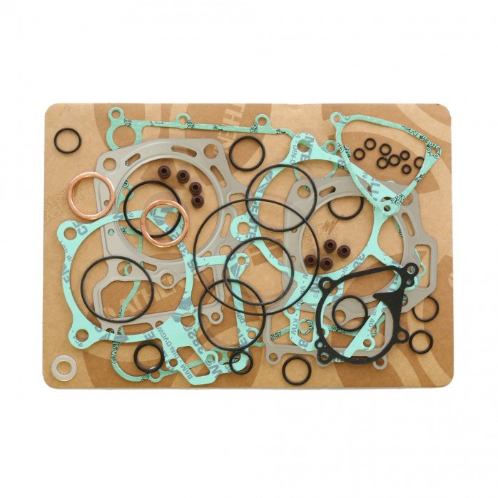 Complete Gasket Kit (oil seals not included)