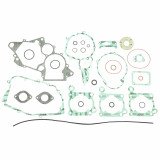 Complete Gasket Kit (oil seals not included)