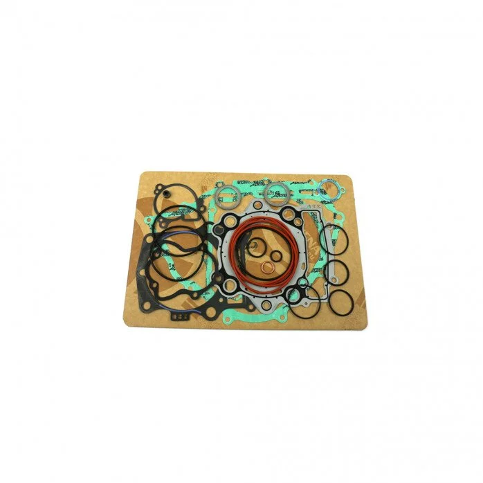 Complete Gasket Kit (oil seals not included)