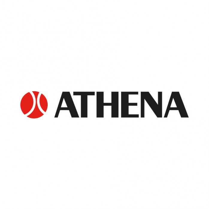 ATHENA PARAOLIO TC 13x22x5,5 Riebokšlis